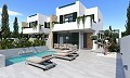Olive Collection Villa with Pool in Pinoso Villas