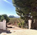 Exclusive Off-Grid Villa on the Top of the Mountain in Villena in Pinoso Villas