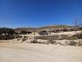 Terreno en venta en Pinoso. in Pinoso Villas