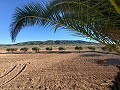 Prachtig landhuis in Yecla in Pinoso Villas