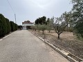 Big country home in Salinetas, Petrer in Pinoso Villas