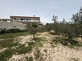 Big country home in Salinetas, Petrer in Pinoso Villas