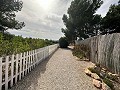 Private Campsite with a 4 Bed House in Pinoso. in Pinoso Villas
