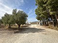 Private Campsite with a 4 Bed House in Pinoso. in Pinoso Villas