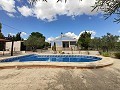 Stunning 4 Bed 2 Bath Villa in Pinoso Villas