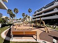 Penthouse de 2 chambres à Playa Flamenca in Pinoso Villas