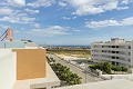 3 bedroom Penthouse in Los Dolses in Pinoso Villas