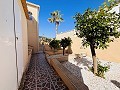 7 bedroom Villa in San Miguel de Salinas in Pinoso Villas