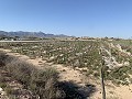 Baugrundstück in der Nähe von Monforte del Cid in Pinoso Villas