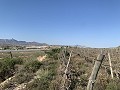 Terrain à bâtir près de Monforte del Cid in Pinoso Villas