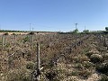 Terrain à bâtir près de Monforte del Cid in Pinoso Villas