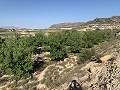 Terrain à bâtir près de Monforte del Cid in Pinoso Villas