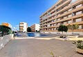 2 bedroom Apartment in Punta Prima in Pinoso Villas