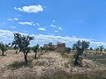 Ruiné à Pinoso avec suffisamment de terrain pour construire une nouvelle propriété in Pinoso Villas