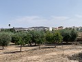 Villa avec piscine privée, 3 chambres, garage séparé et oliviers in Pinoso Villas