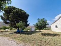 Lovely 6 bed 1 Bath Country house Estate in Yecla. in Pinoso Villas