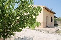 Lovely Authentic 4 Bed 2 Bath Spanish Finca with Guest House in Pinoso. in Pinoso Villas