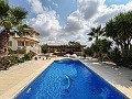 Lovely 5 bedroom 4 Bath Villa in Pinoso. in Pinoso Villas