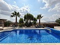 Lovely 5 bedroom 4 Bath Villa in Pinoso. in Pinoso Villas