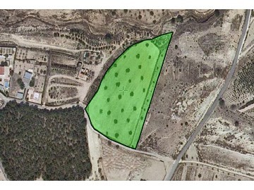 Grundstück zum Verkauf in (Rincon Del Moro.) Sax 