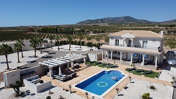 Wow factor new build villa's in Pinoso