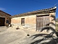 Proyecto de renovación de bodega con características originales in Pinoso Villas