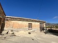 Proyecto de renovación de bodega con características originales in Pinoso Villas