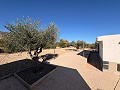 Impresionante casa de campo de 3 dormitorios con piscina en Caudete in Pinoso Villas