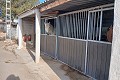 Lovely 3 Bed 1 bath Equestrian property in Monovar. in Pinoso Villas