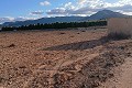 Terrain constructible à Yecla. in Pinoso Villas