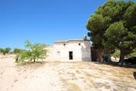 Country house with 100.000M2 olives and Almonds in Pinoso Villas