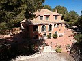 Villa Bodega - Grande Maison Construction de Haute Qualité in Pinoso Villas
