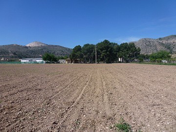 Aspe, Grundstück zu verkaufen! - Baugrundstücke zum Verkauf in Aspe, Alicante | Alicante, Aspe