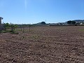 Aspe, plot for sale! - Building Plots for sale in Aspe, Alicante | Alicante, Aspe in Pinoso Villas