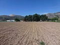 Aspe, Grundstück zu verkaufen! - Baugrundstücke zum Verkauf in Aspe, Alicante | Alicante, Aspe in Pinoso Villas