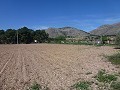 Aspe, plot for sale! - Building Plots for sale in Aspe, Alicante | Alicante, Aspe in Pinoso Villas