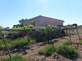 Aspe, terrain à vendre ! - Terrains à bâtir à vendre à Aspe, Alicante | Alicante, Aspé in Pinoso Villas