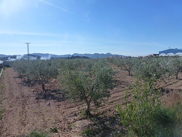 Stedelijke grond te koop - Bouwpercelen te koop in Macisvenda, Murcia | Alicante, Macisvenda