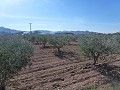 Terrain Urbain à vendre - Terrains à bâtir à vendre à Macisvenda, Murcie | Alicante, Macisvenda in Pinoso Villas