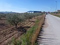 Urban Land for sale - Building Plots for sale in Macisvenda, Murcia | Alicante, Macisvenda in Pinoso Villas