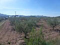 Urban Land for sale - Building Plots for sale in Macisvenda, Murcia | Alicante, Macisvenda in Pinoso Villas