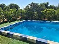 Detached Country House with a pool close to town in Pinoso Villas