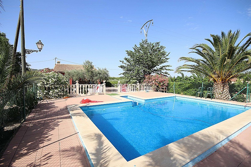 Detached Villa with a pool near Monovar and Pinoso in Pinoso Villas