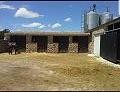 Large Stable complex - suitable to go with 13415 in Pinoso Villas