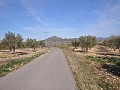 15,000m2 of building land in Salinas with water - electric close in Pinoso Villas