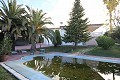 Grote vrijstaande villa met zwembad in Loma Bada, Alicante in Pinoso Villas