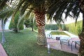 Grote vrijstaande villa met zwembad in Loma Bada, Alicante in Pinoso Villas