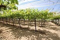 Gran Casa de Campo con negocio de mármol y plantación de uva in Pinoso Villas