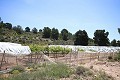 Gran Casa de Campo con negocio de mármol y plantación de uva in Pinoso Villas