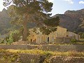 12,441m2 Finca in Raiguero de Bonanza, Orihuela in Pinoso Villas